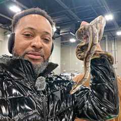 “Jackson Reptile Expo 2026 | Michigan’s Exotic Reptile Event 🐍”