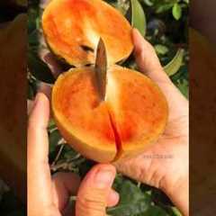 Daily Life Hacks 😉👋 #dailyhacks #hacks #shorts #youtubeshorts #foodfacts #amazingfacts #food