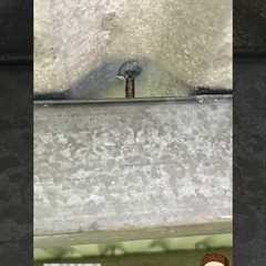 Roof Leaks Fixed Fast—Don’t Wait