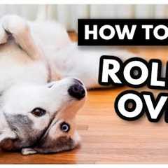 The EASIEST way to Teach Your Dog to ROLL OVER! | How to teach your dog to roll over