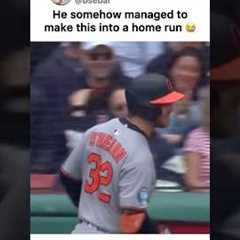 Crazy Home Run 🤣 #baseball