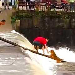 Brave Men Rescue Dog From Rushing River