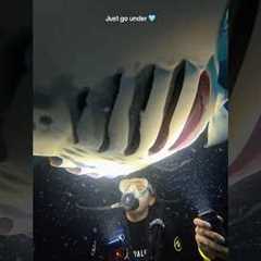 Nighttime is my absolute FAVORITE time to dive. Everything comes ALIVE after dark.