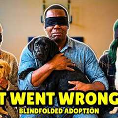 We Blindfolded 45 Strangers And Let Shelter Dogs Choose Their Owners 🥹