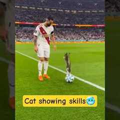 Cat showing skills to ronaldo 🥶☠️