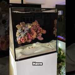 My dream saltwater aquarium!!