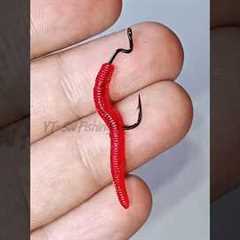 How to put soft worm bait on a hook #fishing #fishbait #softlure #tutorials #tipsandtricks