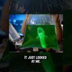 Dark web fish mystery box.. what will he find inside of these packages? #fish #mystery #comedy