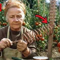 30 SMART Gardening Tricks Only Grandma Knew (No Tools Needed)