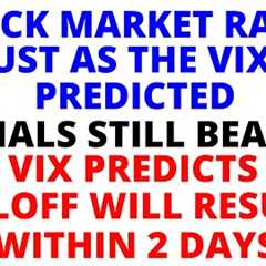Stock Market CRASH:   A Rally Today as the VIX Predicted - The VIX Predicts the Selloff Will Resume