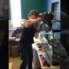 what did she do wrong here? Snake bites woman, and wraps her up.