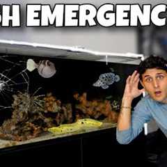 We Had An EMERGENCY With My SALTWATER AQUARIUM!! 