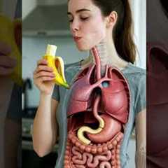 How Your Digestive System Breaks Down a Banana 🍌 | 3D Anatomy Animation
