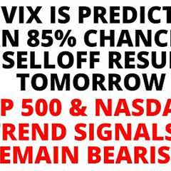 Stock Market CRASH: The VIX is Predicting an 85% Chance the Selloff Resumes Tomorrow