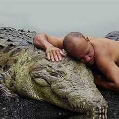 Most Unusual Friendships Between Humans and Dangerous Animals