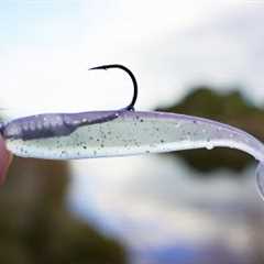 How To Start Soft Plastics Fishing (Beginners Guide)