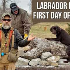 Labrador Retriever Puppy’s First Day Of School!