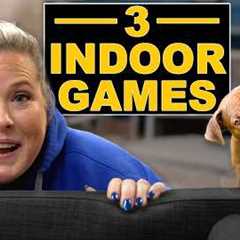 3 Indoor Dog Training Games (When You Don't Want To Go Outside)