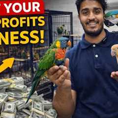 MAPLE EXOTIC PETS SHOP ! #Navimumbai #petshop #petkeepers 