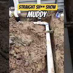 Lawn renovation after pool install #work #landscape #mess