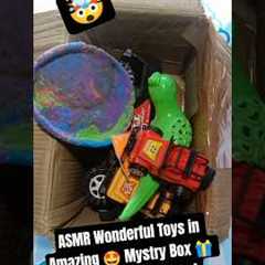 ASMR Wonderful Toys in Amazing Mystery Box 🎁 With Satisfying Sound #asmr #mysterybox #toys..