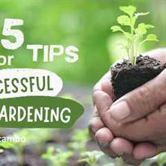 DAILY PODCAST #1: YouTube gardening secret