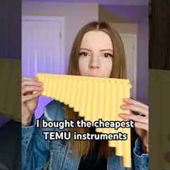 I bought the cheapest TEMU instruments!