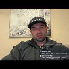 LIVE Dog Training Q/A and more