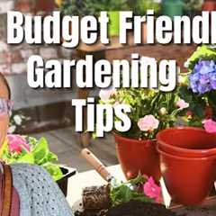 🌿10 Budget-Friendly Gardening Tips for Beginners | Save Money & Grow Your Dream Garden 🌸