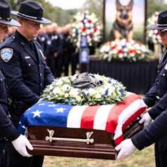 K9 Tara’s Last Call | top best dog training techniques !