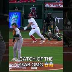 Baseball highlights #mlb#baseball #fyp#usa#funny