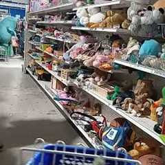 SHOPPING AT THE GOODWILL THRIFT STORE