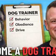 How to Become A Dog Trainer The RIGHT Way!