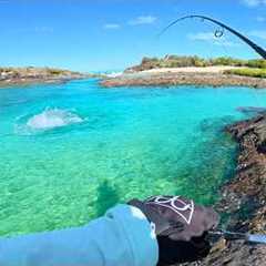 Finally a CATCH AND COOK!