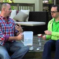 How To Make Organic Insect Repellent