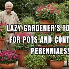 Top Lazy Gardener’s Dream: 15 Perennials Perfect For Containers/Pot Hack!