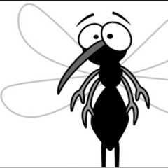 How to make a Natural Insect Repellant Spray