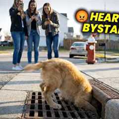 This Puppy’s Head Got Stuck in a Storm Drain 💔 What Happened Next Is Heartbreaking