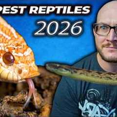 Top 5 CHEAPEST Reptiles in 2026