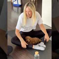 Big energy from little pups! Our Cockapoo puppy yoga class brought laughter, joy, and cuddles.