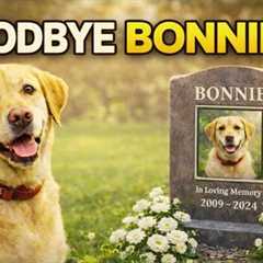In Memory of Bonnie   Story of My Life | top best dog training techniques !
