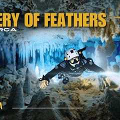 Diving Inside Mallorca’s Heavily Protected Underwater CAVE | Rare Access