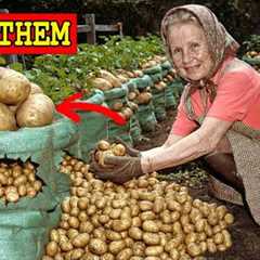 33 Old Gardening Hacks for Seniors To Grow More With Less Work