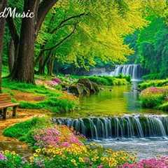 Peaceful Piano Music for Mind 🌿 Relaxing Nature Sounds Help Reduce Stress & Stop Overthinking