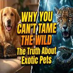 Why You Can't Tame the Wild: The Truth About Exotic Pets