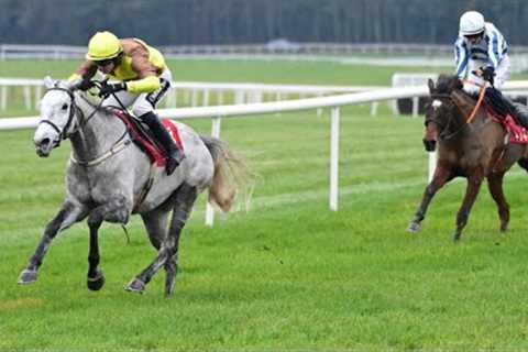 Plenty of drama in this beginners' chase at Punchestown! | Racing TV