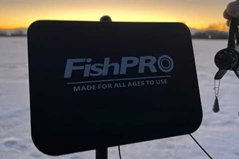 NEW 2026 FishPRO Underwater Fishing Camera Review - Ice Fishing Clear Water for Salmon