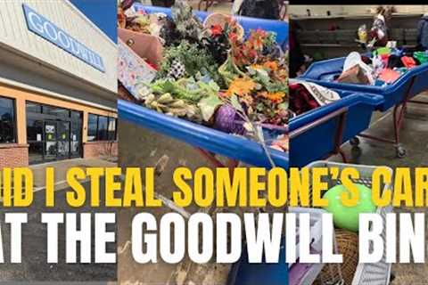 I took someone's cart at Goodwill Outlet bins • Thrift with me • thrifting for resale and home decor