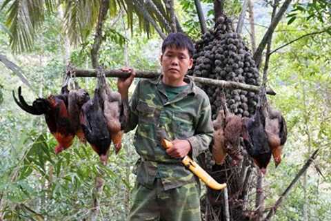Survival skills: tracking wild chicken tracks, using rudimentary traps to catch them, survival alone