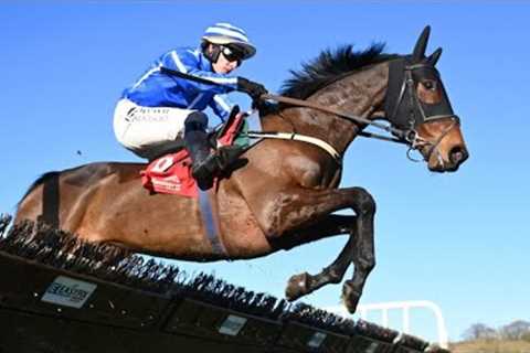 The Reverend: interesting prospect for Willie Mullins 👀